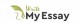 Write My Essay